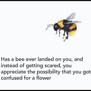 Meet your Posher, Natasha